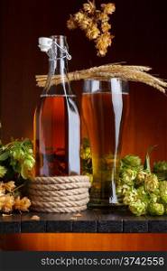 Beer with hop and wheat on wooden table still life