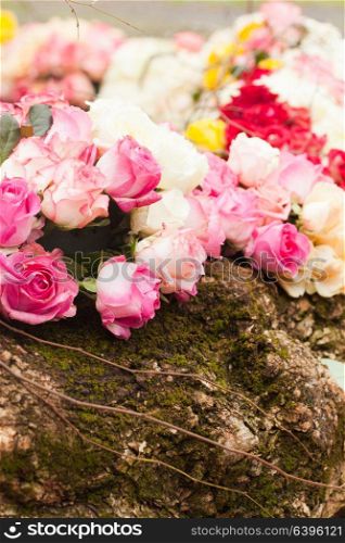 Beige and pink roses background, pattern for wedding design. Pattern roses background