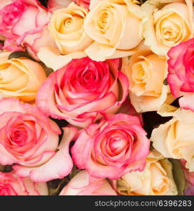 Beige and pink roses background, pattern for wedding design. Pattern roses background