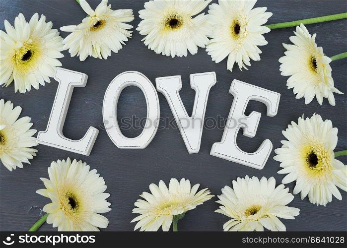 Beige gerbera flowers frame on dark wood with love letters. Beige gerbera flowers