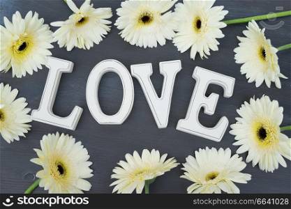 Beige gerbera flowers frame on dark wood with love letters. Beige gerbera flowers