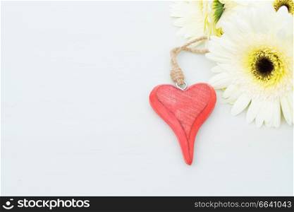 Beige gerbera flowers with red heart for valentines day on gray wooden table. Beige gerbera flowers