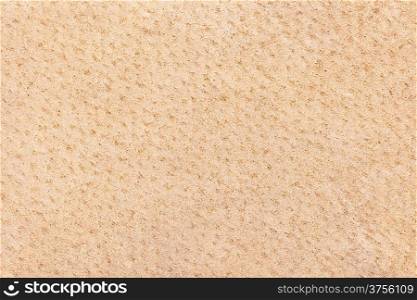 Beige leather texture or background. Macro shot, top view