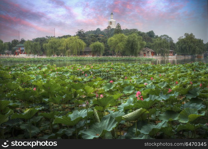 Beihai Park is the imperial garden to the north-west of the Forbidden City in Beijing. China. Beihai Park