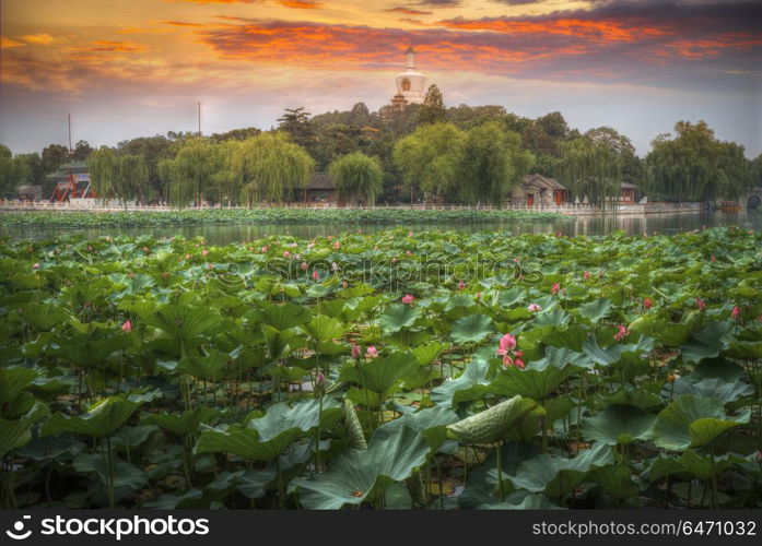 Beihai Park is the imperial garden to the north-west of the Forbidden City in Beijing. China. Beihai Park