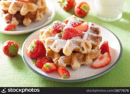 belgian waffles with icing sugar and strawberry