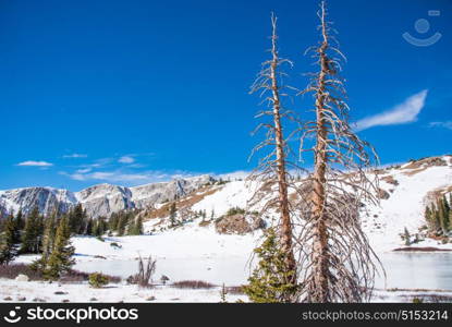 Bellamy Lake frozen over in Medicine Bow National Forest