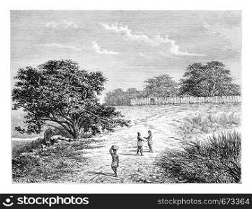 Belmonte Enclosure in Angola, Southern Africa, drawing by De Bar based on a sketch by Serpa Pinto, vintage engraved illustration. Le Tour du Monde, Travel Journal, 1881