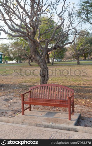 Bench along the corridor Under a tree in the park during the morning.