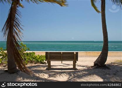 Bench among the palm trees facing the ocean