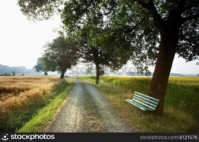 Bench and Gravel Road in the Country