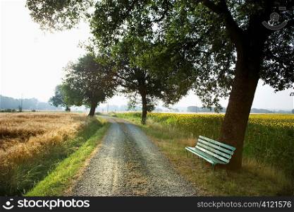 Bench and Gravel Road in the Country