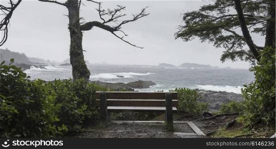 Bench at coastline, Pacific Rim National Park Reserve, Ucluelet, Vancouver Island, British Columbia, Canada