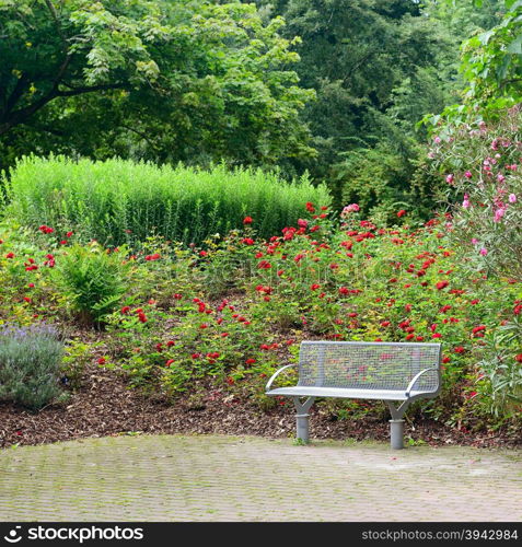 bench in a beautiful park