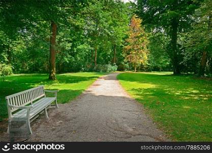 Bench in a beautiful park