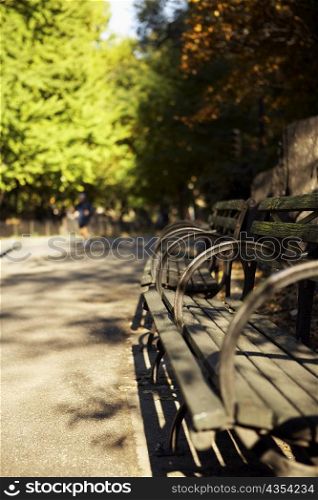 Bench in a park, Central Park, Manhattan, New York City, New York State, USA