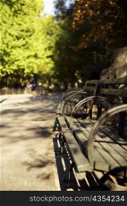 Bench in a park, Central Park, Manhattan, New York City, New York State, USA