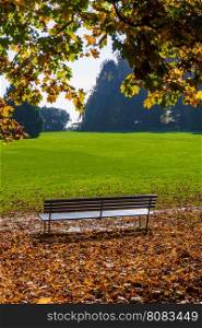 Bench in autumn park. City park in autumn