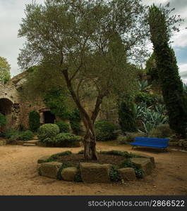 Bench in old yard, Girona