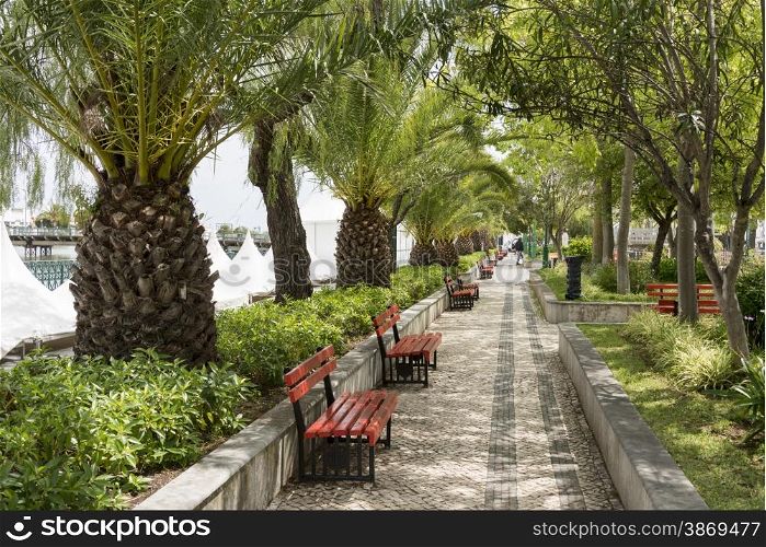 bench in red and green palm trees in tropical town tavira in algarve Portugal