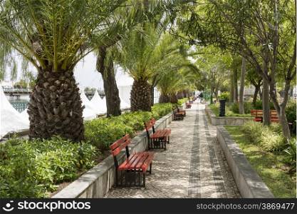 bench in red and green palm trees in tropical town tavira in algarve Portugal