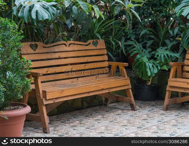 bench in the Botanical greenhouse. tropical decorative orangery. bench in the greenhouse