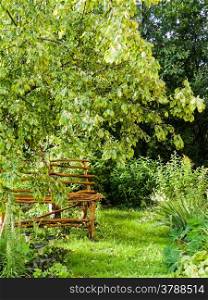 bench in the garden. bench under an apple tree in the garden
