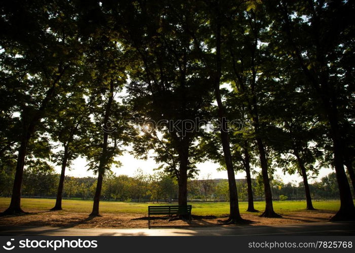 Bench in the park for people to relax on vacation. The property has a shady garden. In the evening.