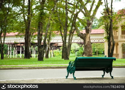 Bench in the park on the pavement. Within the park. Shady trees and the relax.