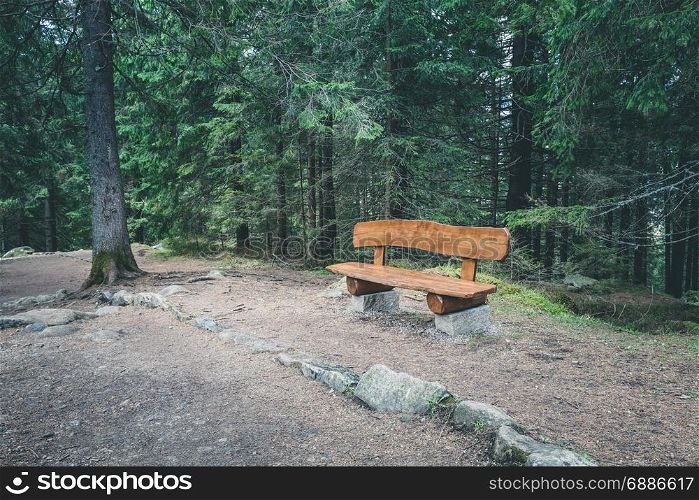 Bench near the trail at green summer forest