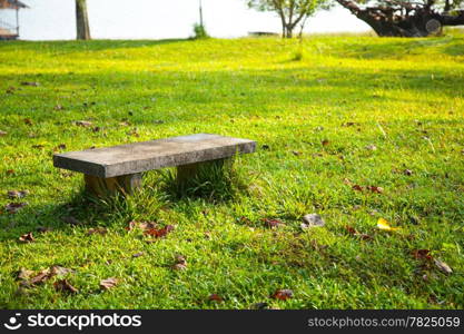 Bench on the lawn. In the park. Relaxing atmosphere.