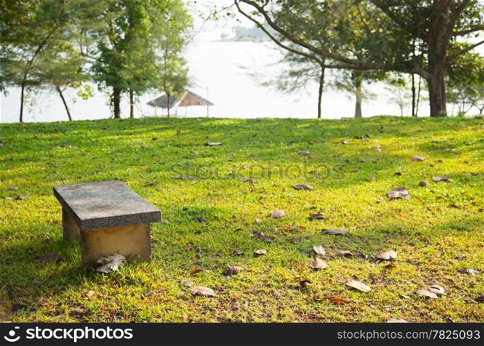 Bench on the lawn. In the park. Relaxing atmosphere.