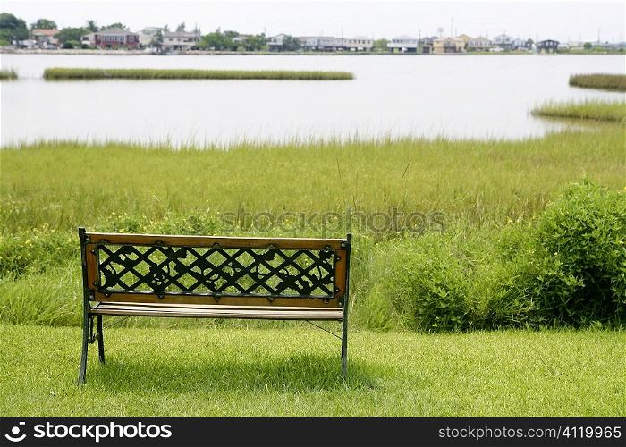 Bench over the green grass on the lake