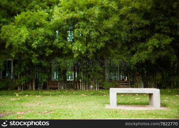 Bench seats and bamboo. Chair on the lawn green. Within the park.