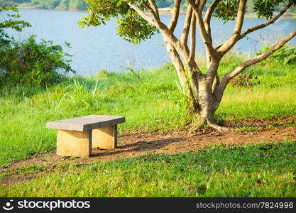 Bench under a tree. A bench on the lawn under the trees in the park.