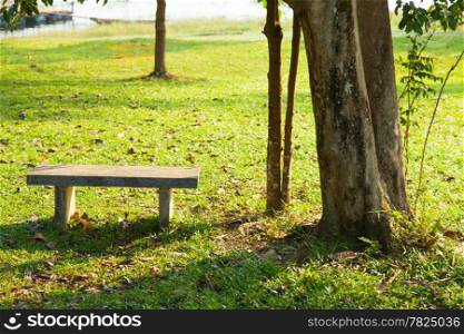 Bench under a tree. A bench on the lawn under the trees in the park.