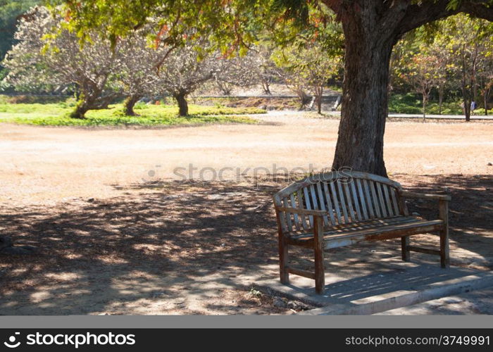 Bench under a tree. It&rsquo;s hot, I stay alone in a desolate