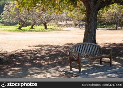 Bench under a tree. It&rsquo;s hot, I stay alone in a desolate