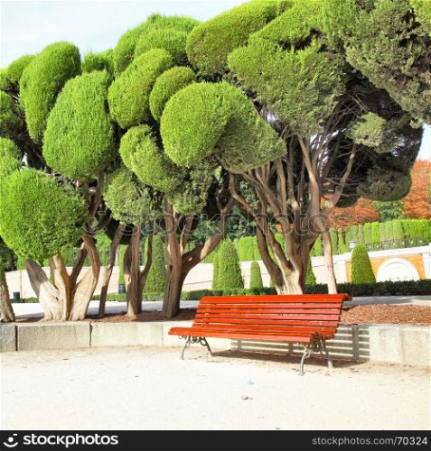 Bench under cut cypress in Buen Retiro park. Madrid