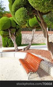 Bench under cut cypress in Buen Retiro park, Madrid