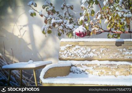 Bench with a dusting of snow in winter garden