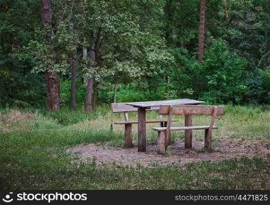 Bench with table in summer forest