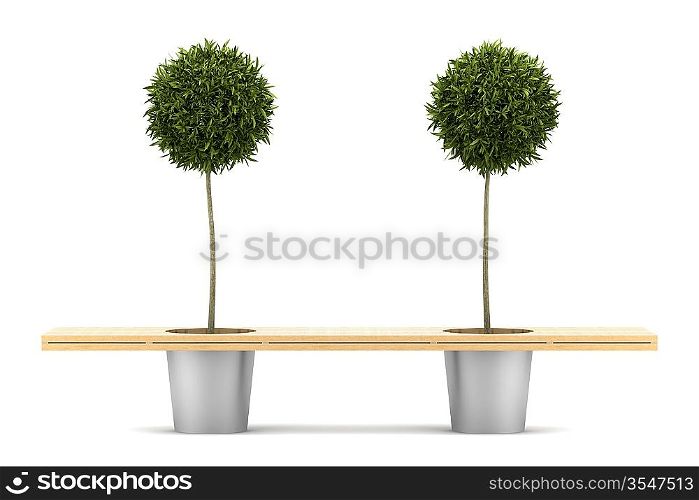 bench with two potted orange trees isolated on white background