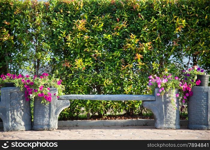 Benches and ornamental trees With ornamental shrubs and flowers that adorn the park bench.