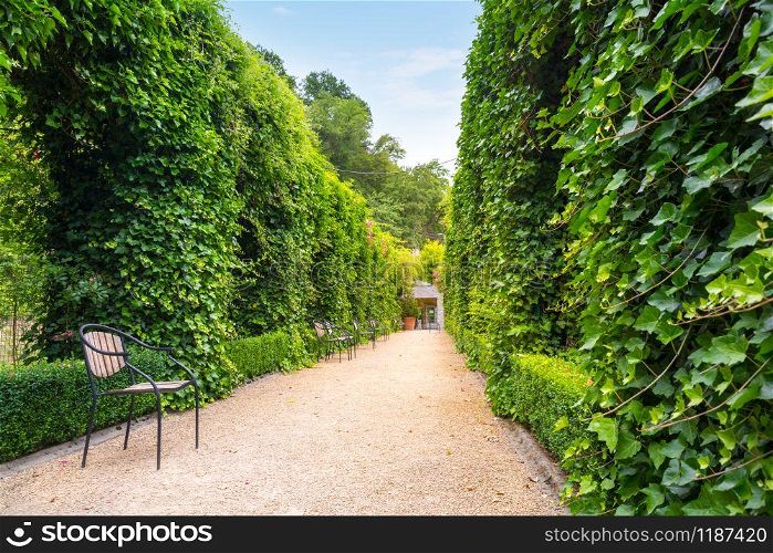 Benches between clipped bushes, summer park in Europe. Professional gardening, european green landscape, garden plants decoration. Benches between clipped bushes, summer park