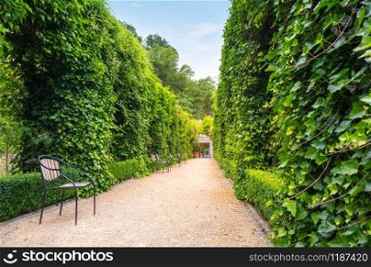 Benches between clipped bushes, summer park in Europe. Professional gardening, european green landscape, garden plants decoration. Benches between clipped bushes, summer park