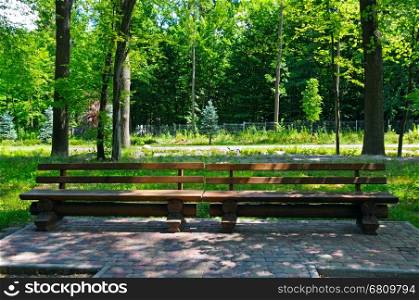 benches for relaxing in the cozy city park