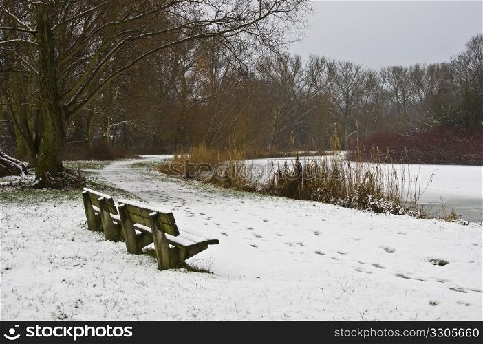 benches in a park covered with snow