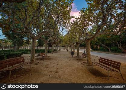 Benches in beautiful park in Barcelona, Spain