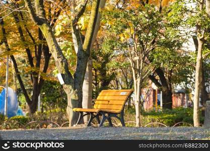 Benches in the park Autumn in Tokyo, Japan